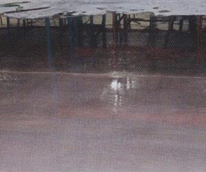 Heavy Duty Degreaser